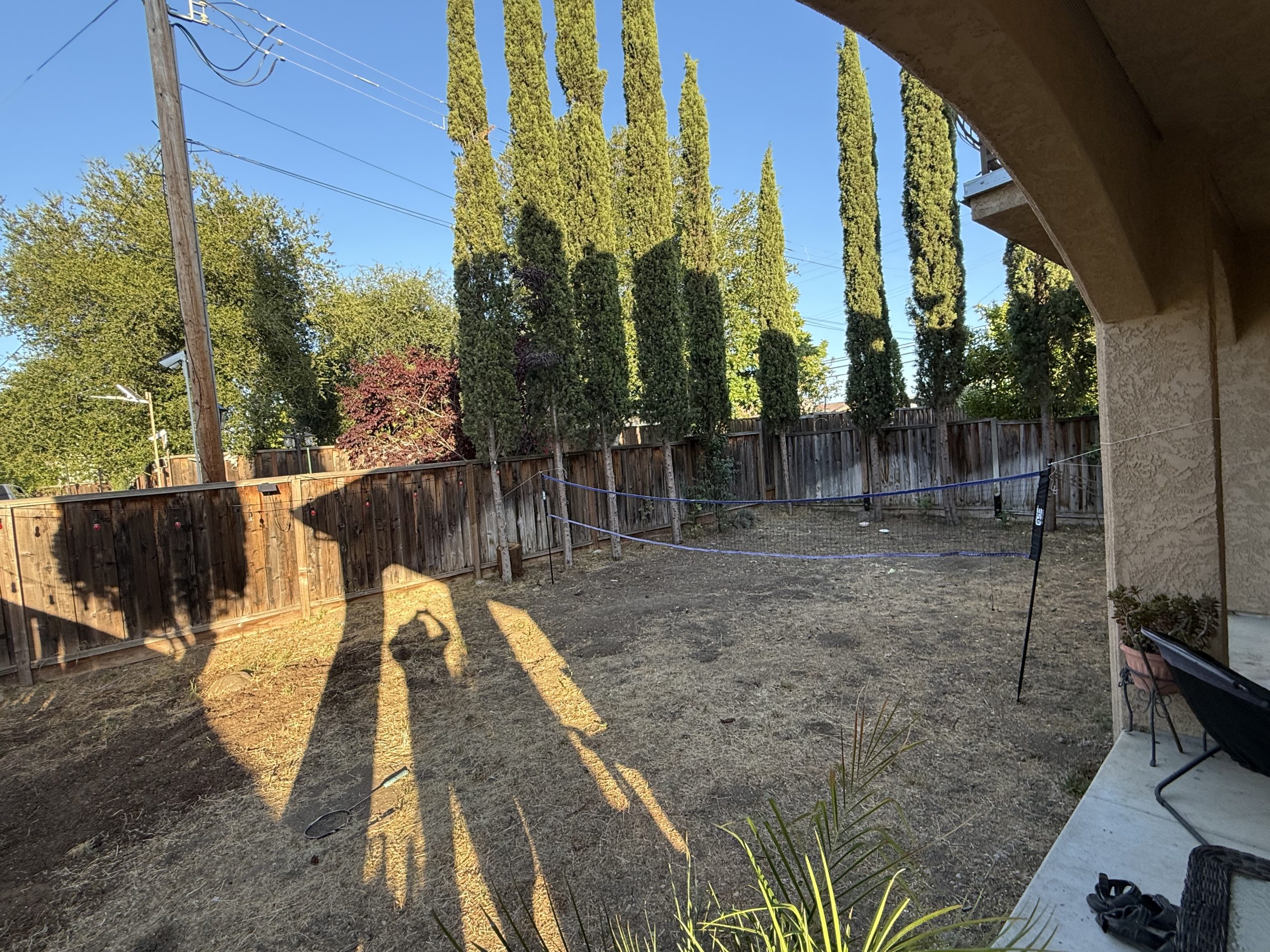 Image_20260302_061626_016